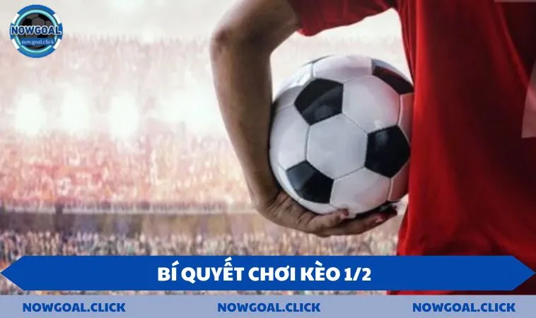 chia se bi quyet choi keo 1 2 de dang chien thang Chia sẻ bí quyết chơi kèo 1/2 dễ dàng chiến thắng