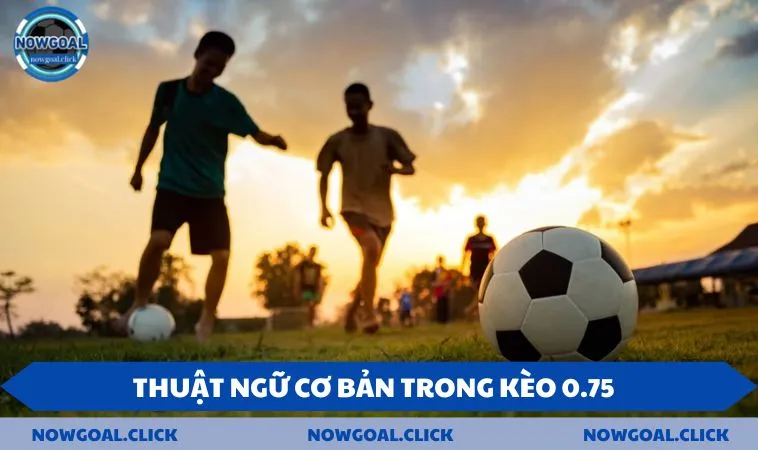 Một số thuật ngữ thường gặp trong kèo chấp 0.75