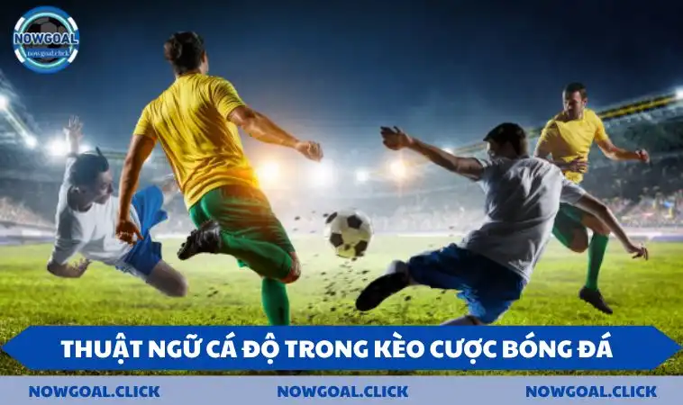 Thuật ngữ cá độ trong kèo cược bóng đá