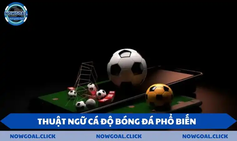 Một số thuật ngữ phổ biến tại bảng kèo NOWGOAL